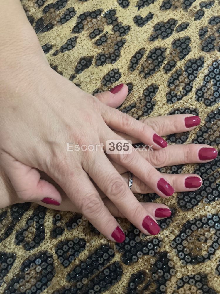 Amany Milf: Versatile e Passionale - Escort a Bologna - Foto 3