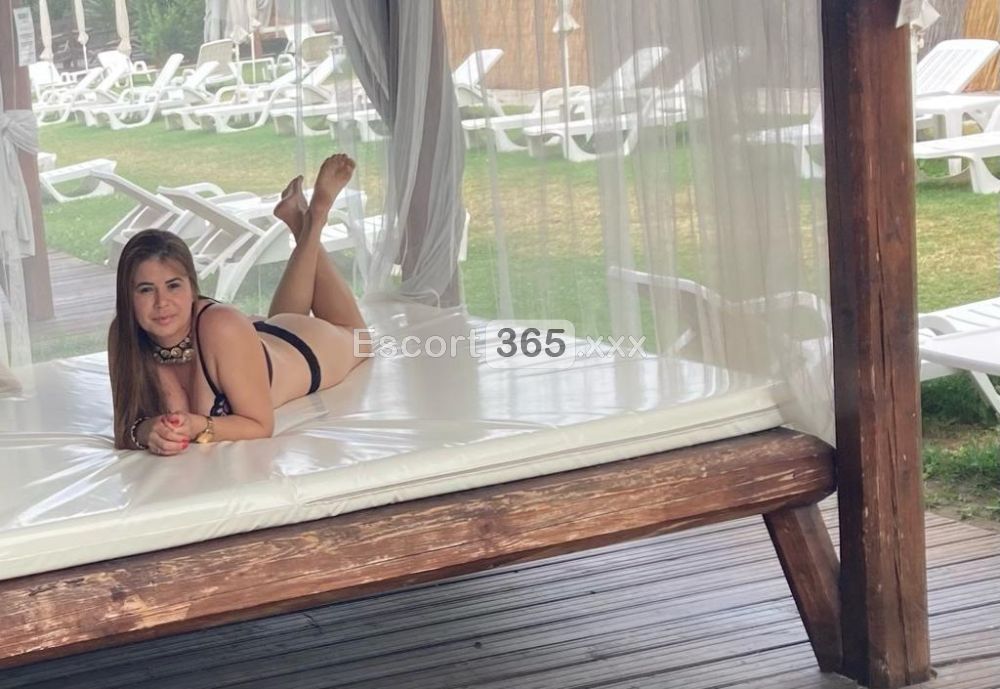 Amany Milf: Versatile e Passionale - Escort a Bologna - Foto 8