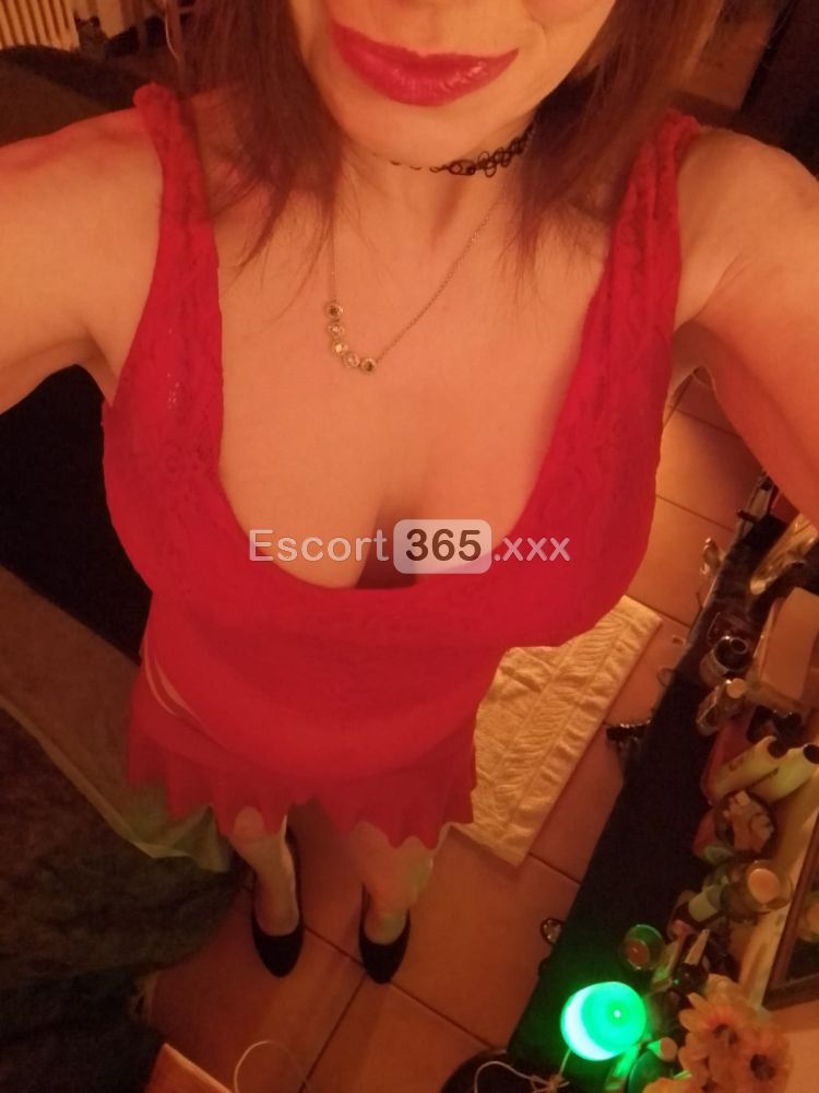 Stefy - Escort a Sona - Foto 9