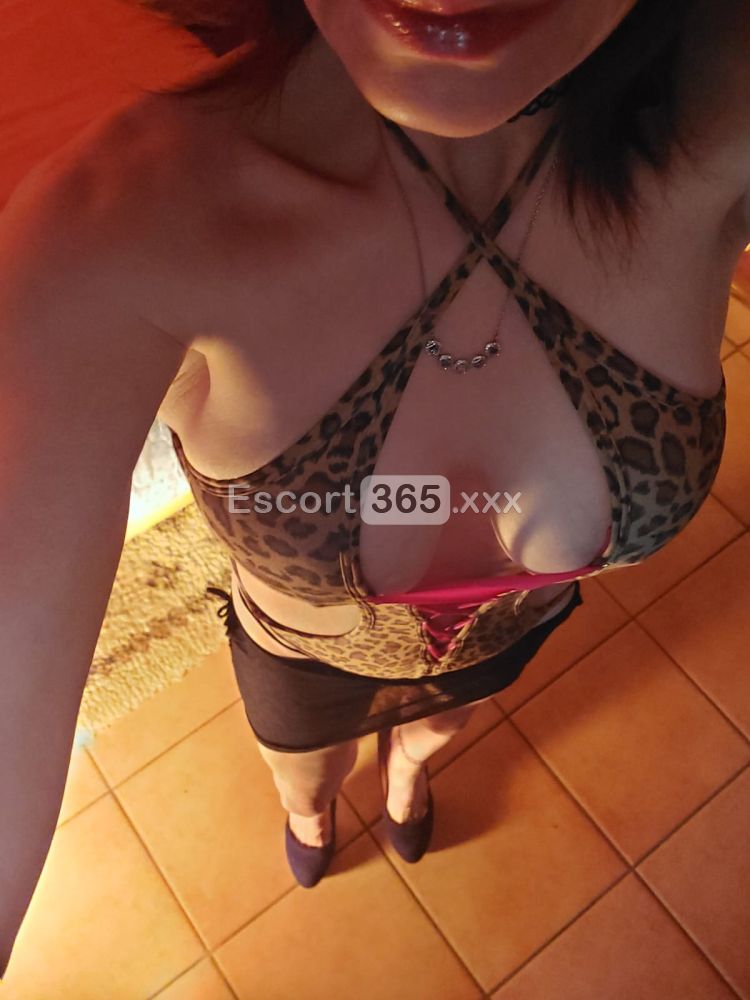 Stefy - Escort a Sona - Foto 11