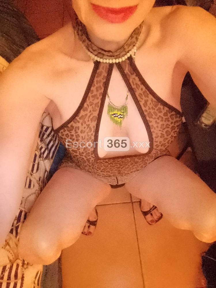 Stefy - Escort a Sona - Foto 19