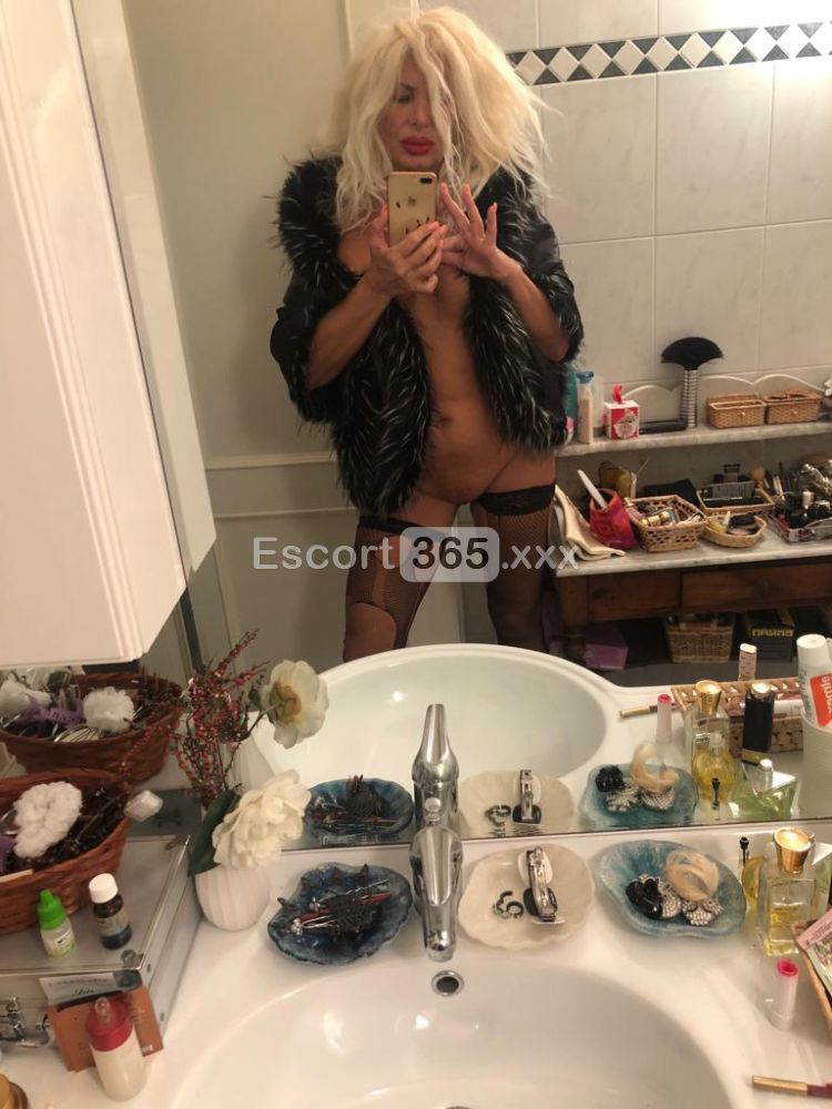 Carlotta: Italiana Audace e Versatile - Escort a Piacenza - Foto 13