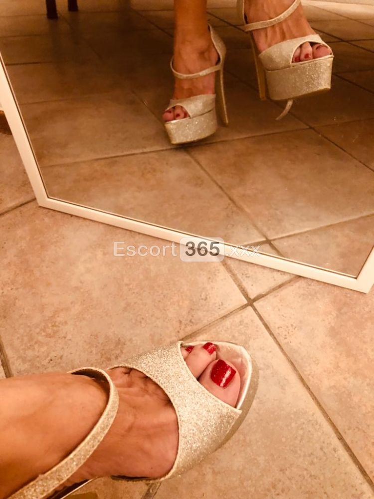 Carlotta: Italiana Audace e Versatile - Escort a Piacenza - Foto 2