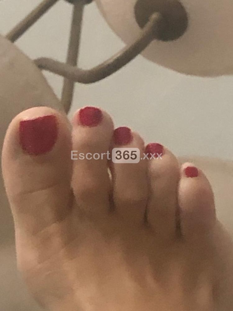 Carlotta: Italiana Audace e Versatile - Escort a Piacenza - Foto 7