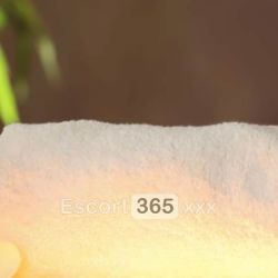Iolanda: Dolce e Riservata Escort Aci Castello: annunci, incontri e recensioni reali di Vip Escort, Escort, Pornostar, Trans, Massaggi, Mistress, Coppie e Orientali.
