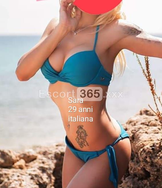 Studio Elitè: Professionalità - Massaggi Erotici a Bergamo - Foto 3