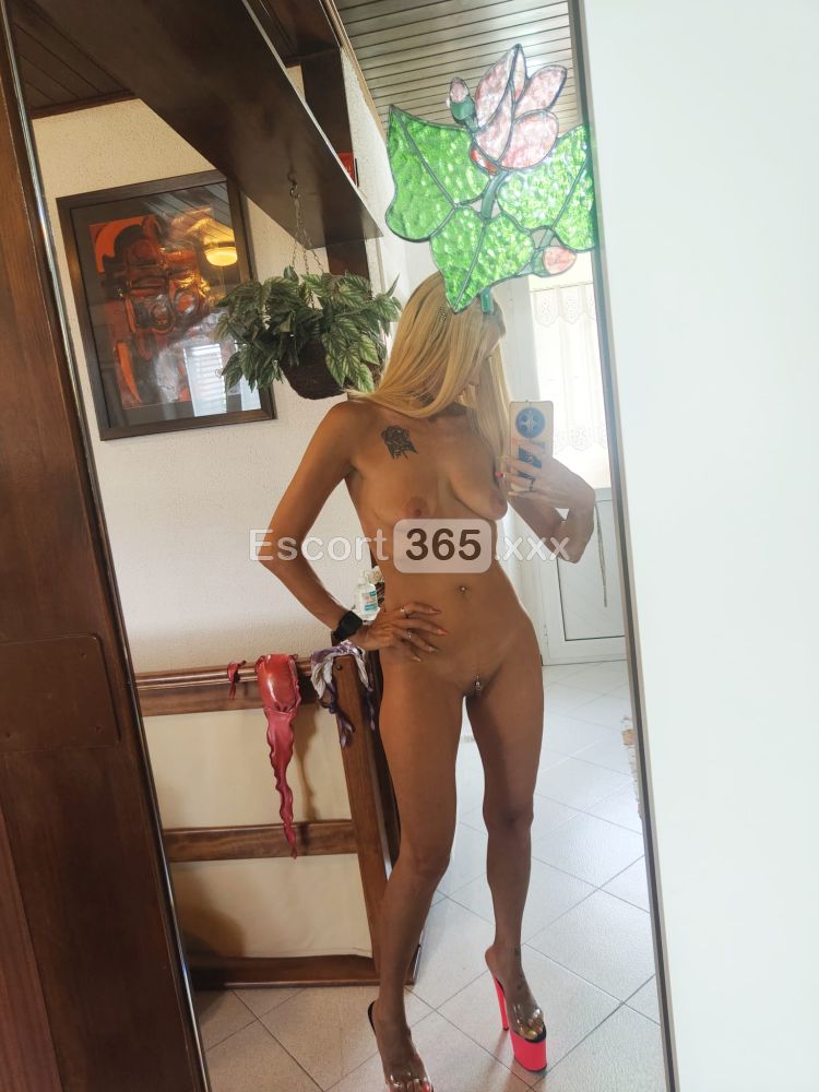 Sexy Star Blondie: Audace e Risoluta - Mistress a Sassuolo - Foto 9