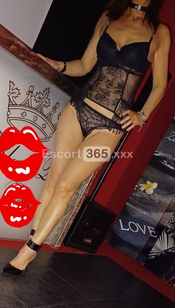 Sofia: Bellissima Milf Italiana - Escort a Treviso - Foto 1
