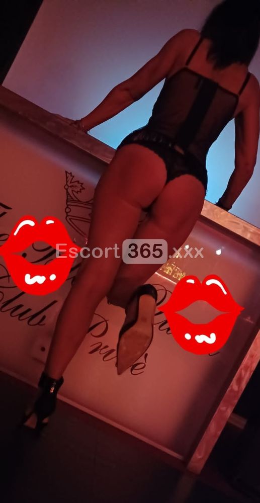Sofia: Bellissima Milf Italiana - Escort a Treviso - Foto 7