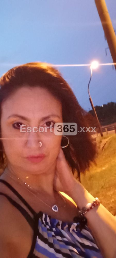 Regina Professionista dei Preliminari - Escort a Moncalieri - Foto 12