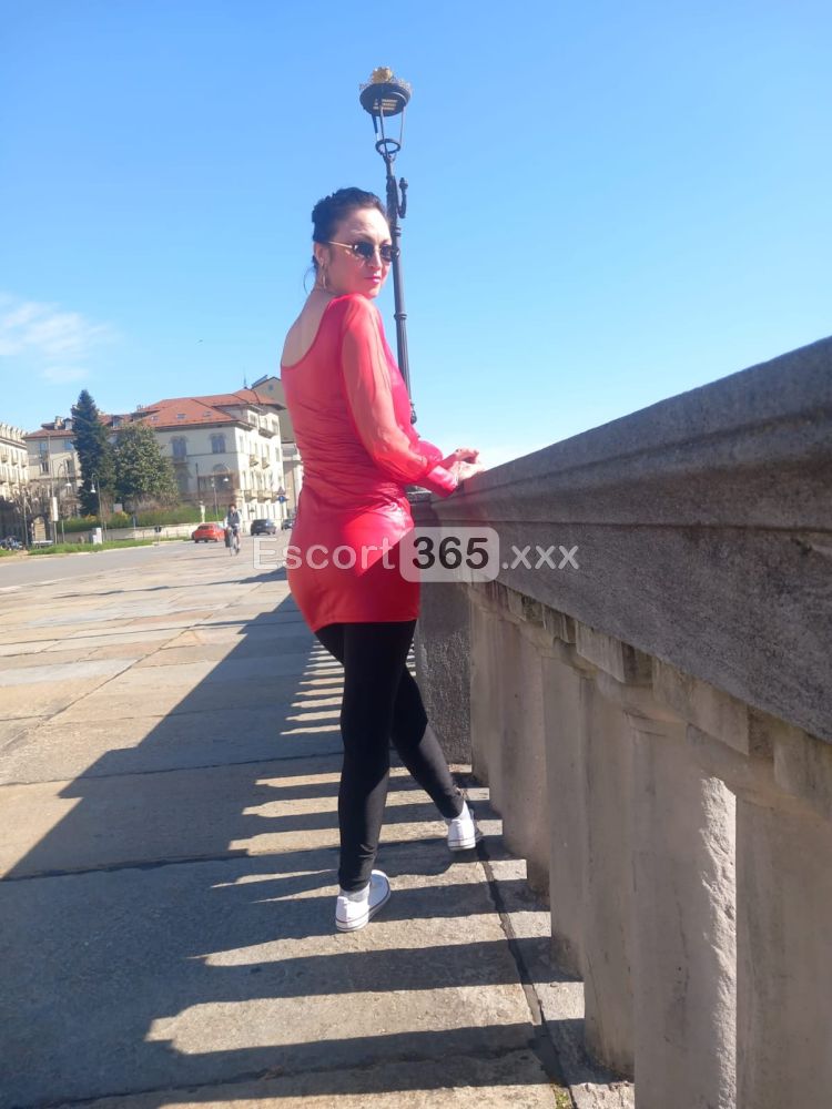 Regina Professionista dei Preliminari - Escort a Moncalieri - Foto 14