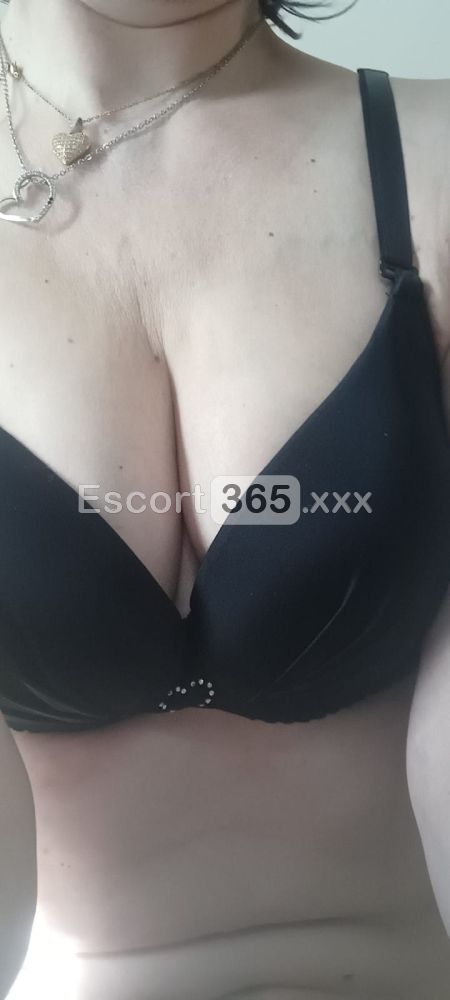 Regina Professionista dei Preliminari - Escort a Moncalieri - Foto 8