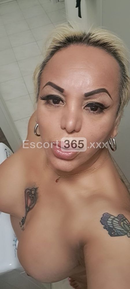 Dakota: Scatenata e Inimitabile - Trans a Arezzo - Foto 15