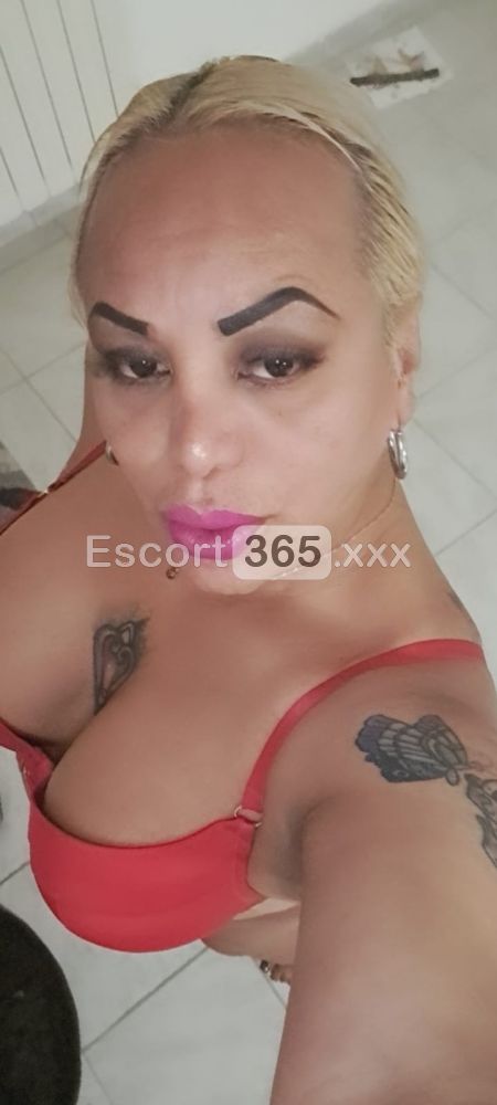 Dakota: Scatenata e Inimitabile - Trans a Arezzo - Foto 8