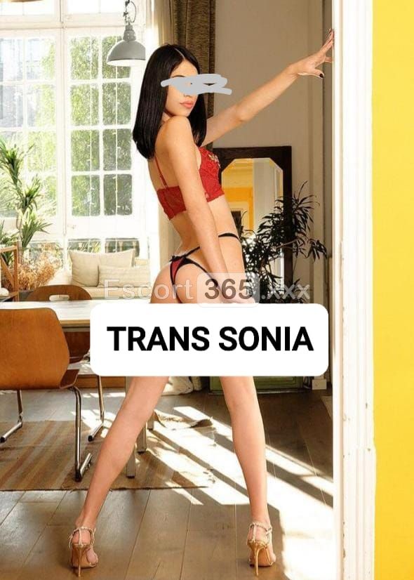 Sonia: Affascinante - Trans a Lecco - Foto 1