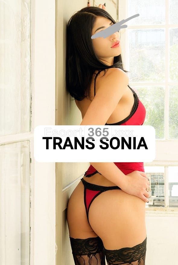 Sonia: Affascinante - Trans a Lecco - Foto 3