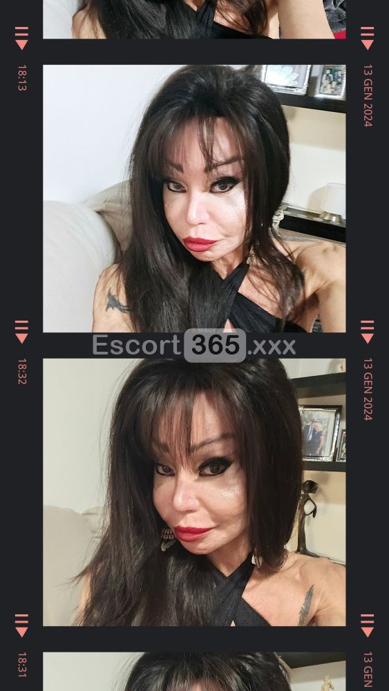 Luciana: Distinta e Avvenente - Trans a Lallio - Foto 7
