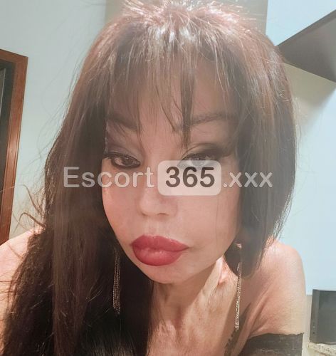 Luciana: Distinta e Avvenente - Trans a Lallio - Foto 16