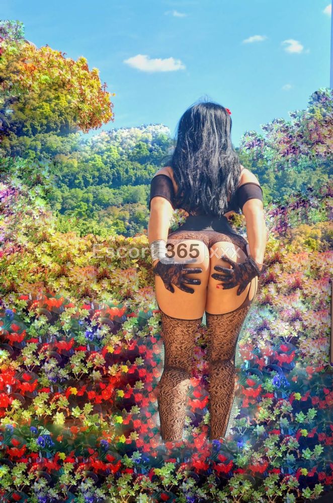 Chanxanna - Escort a Vicenza - Foto 12