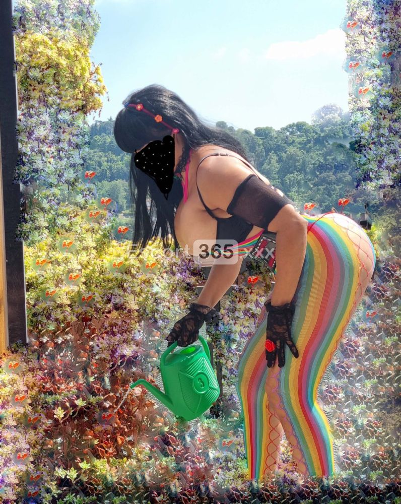 Chanxanna - Escort a Vicenza - Foto 17