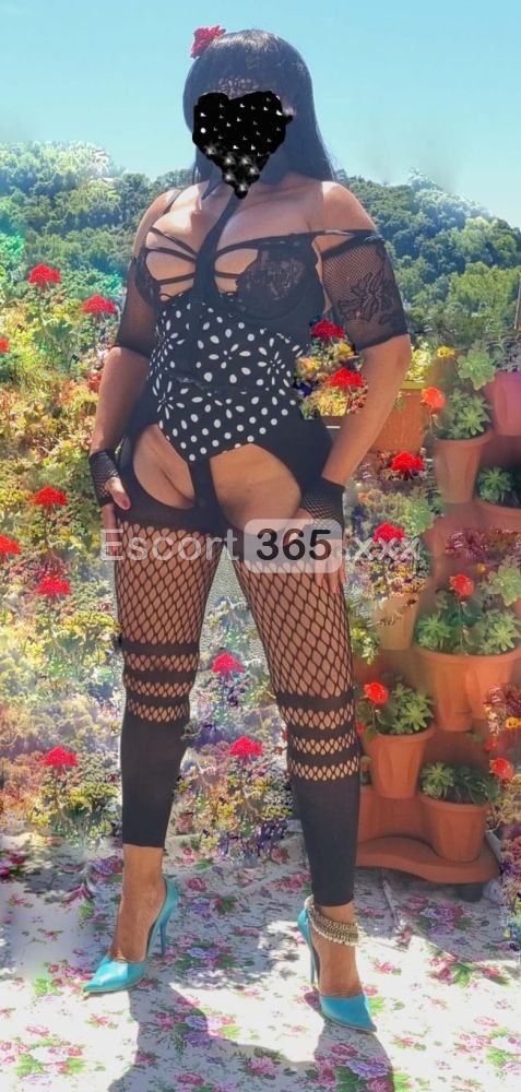 Chanxanna - Escort a Vicenza - Foto 30