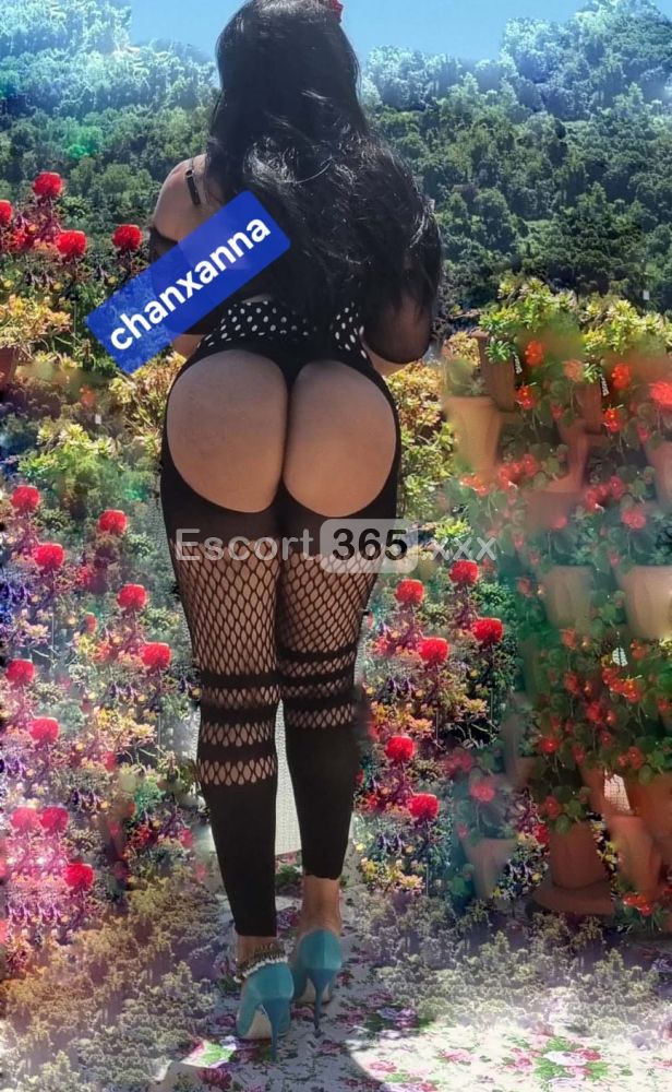 Chanxanna - Escort a Vicenza - Foto 31