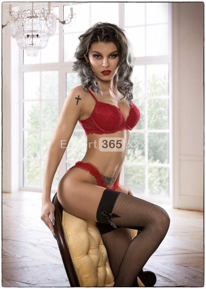 Eva Vip: Alto Livello - Vip Escort a Riccione - Foto 12