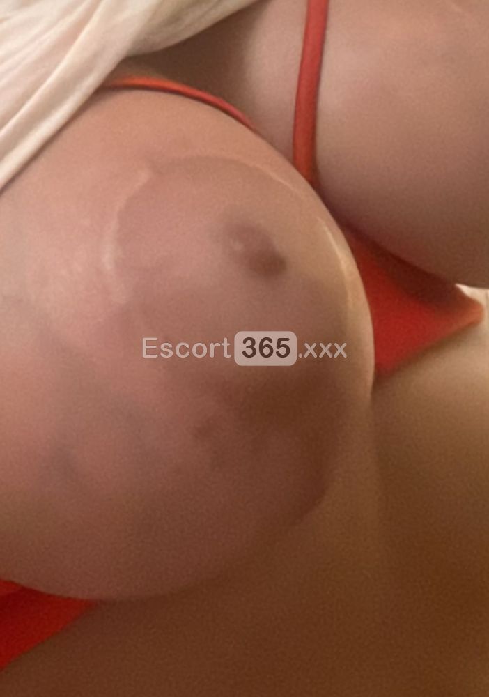 Rebecca: Elegante e Passionale - Escort a Napoli - Foto 4