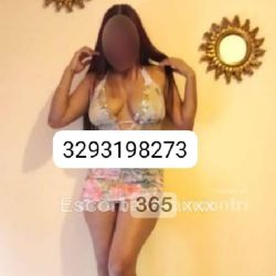 Sofia: Stupenda e Provocante Escort Piacenza: annunci, incontri e recensioni reali di Vip Escort, Escort, Pornostar, Trans, Massaggi, Mistress, Coppie e Orientali.
