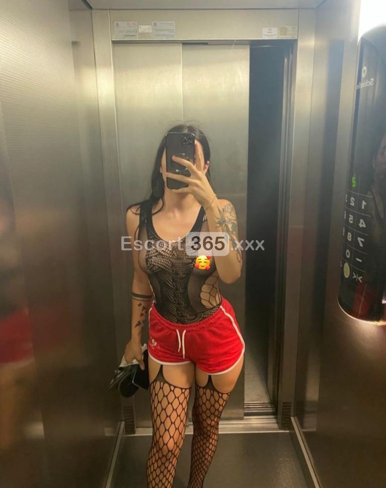 Lavinia: Spettacolare e Audace - Escort a Modena - Foto 3