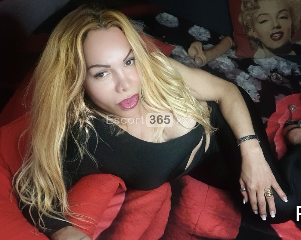 Cherry Marcella: Attraente e Disponibile - Trans a Roma - Foto 10