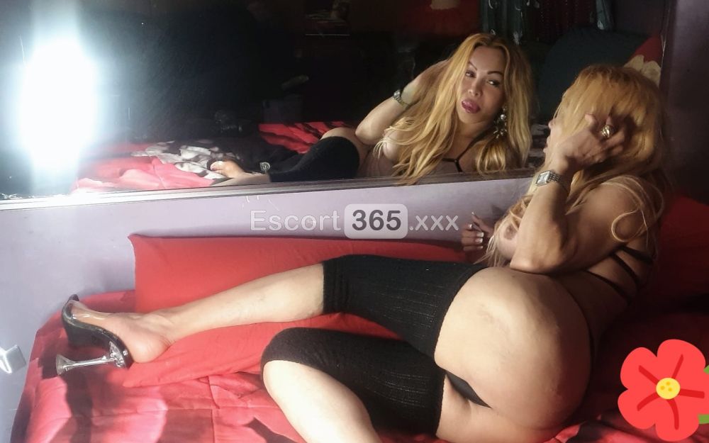 Cherry Marcella: Attraente e Disponibile - Trans a Roma - Foto 2