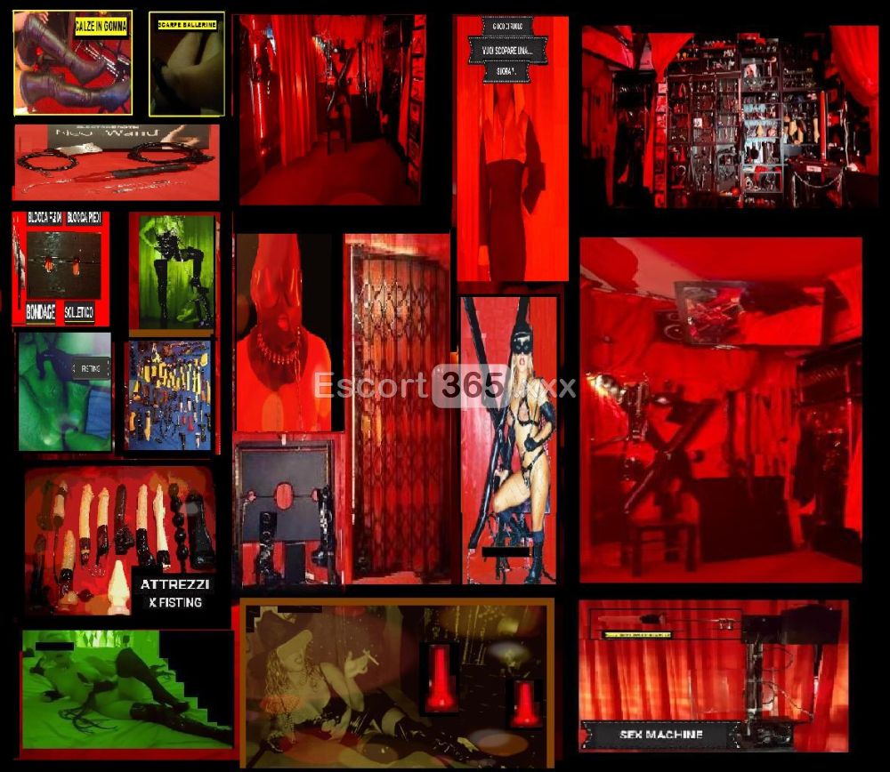 Lady Sonia: Autorevole e Determinata - Mistress a Padova - Foto 1