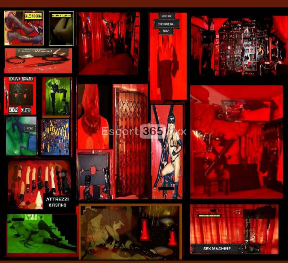 Lady Sonia: Autorevole e Determinata - Mistress a Padova - Foto 6