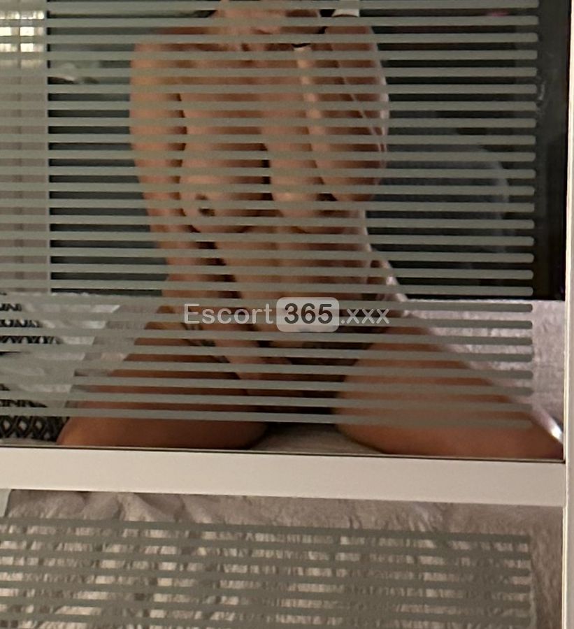 Sofia: Raffinata e Sensuale - Escort a Fiumicino - Foto 3