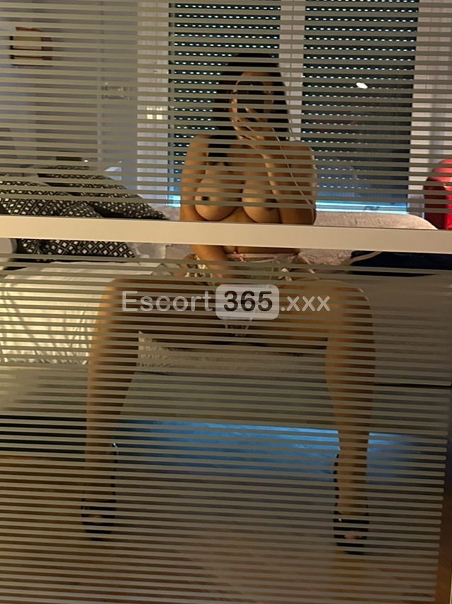 Sofia: Raffinata e Sensuale - Escort a Fiumicino - Foto 5