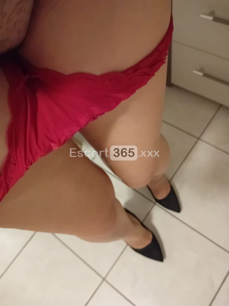 Ilaria: Passionale e Sensuale - Escort a Venezia - Foto 13