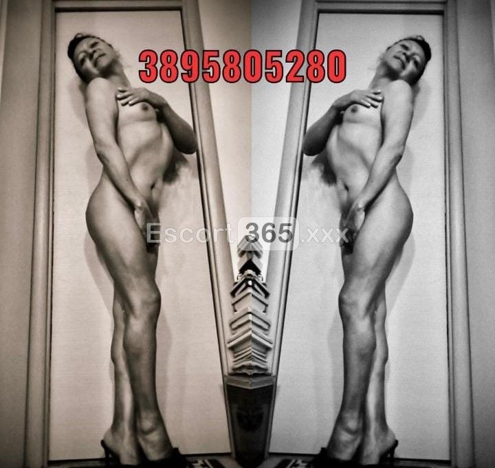 Carolina La Francesina: Trasgressiva e Sensuale - Trans a Roma - Foto 3
