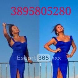 Carolina La Francesina: Trasgressiva e Sensuale Escort Roma: annunci, incontri e recensioni reali di Vip Escort, Escort, Pornostar, Trans, Massaggi, Mistress, Coppie e Orientali.