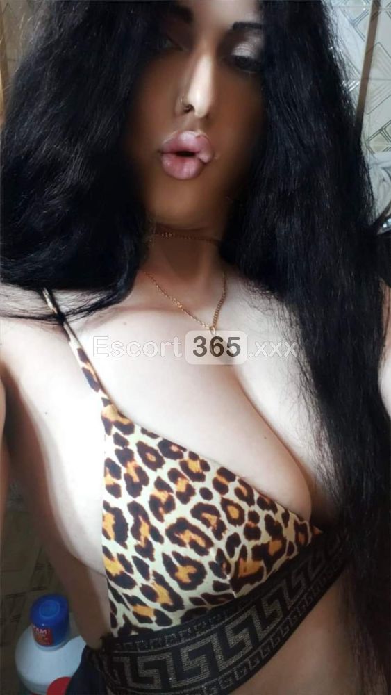 Fru Fru - Escort a Bologna - Foto 30
