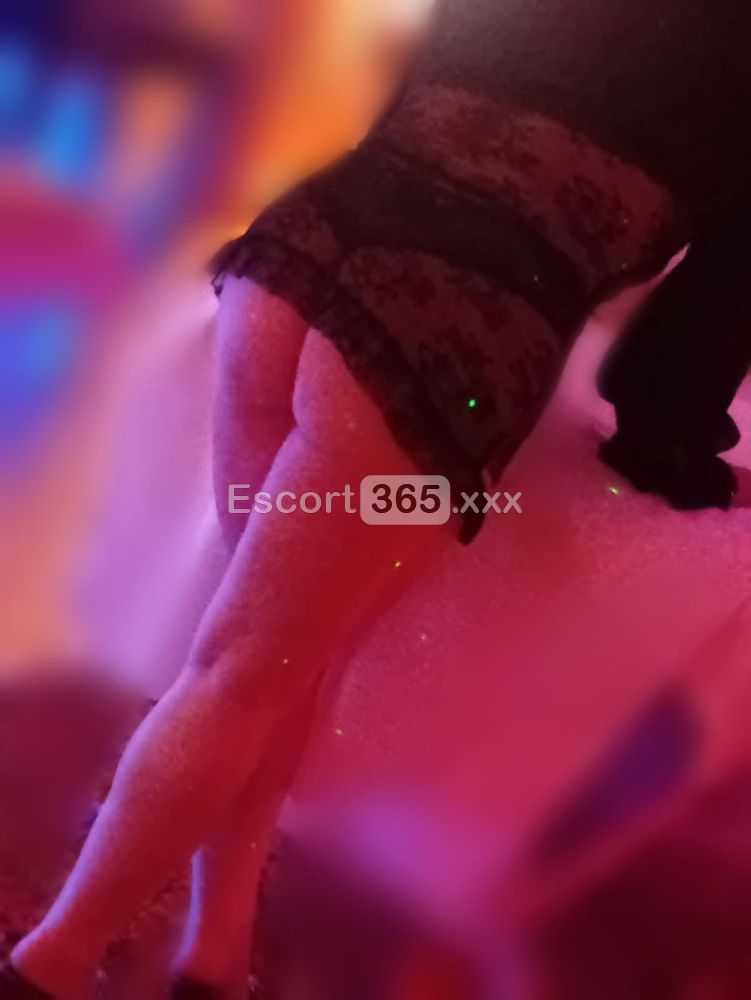 New Entry: Italiana Avvolgente - Massaggi Erotici a Lucca - Foto 4