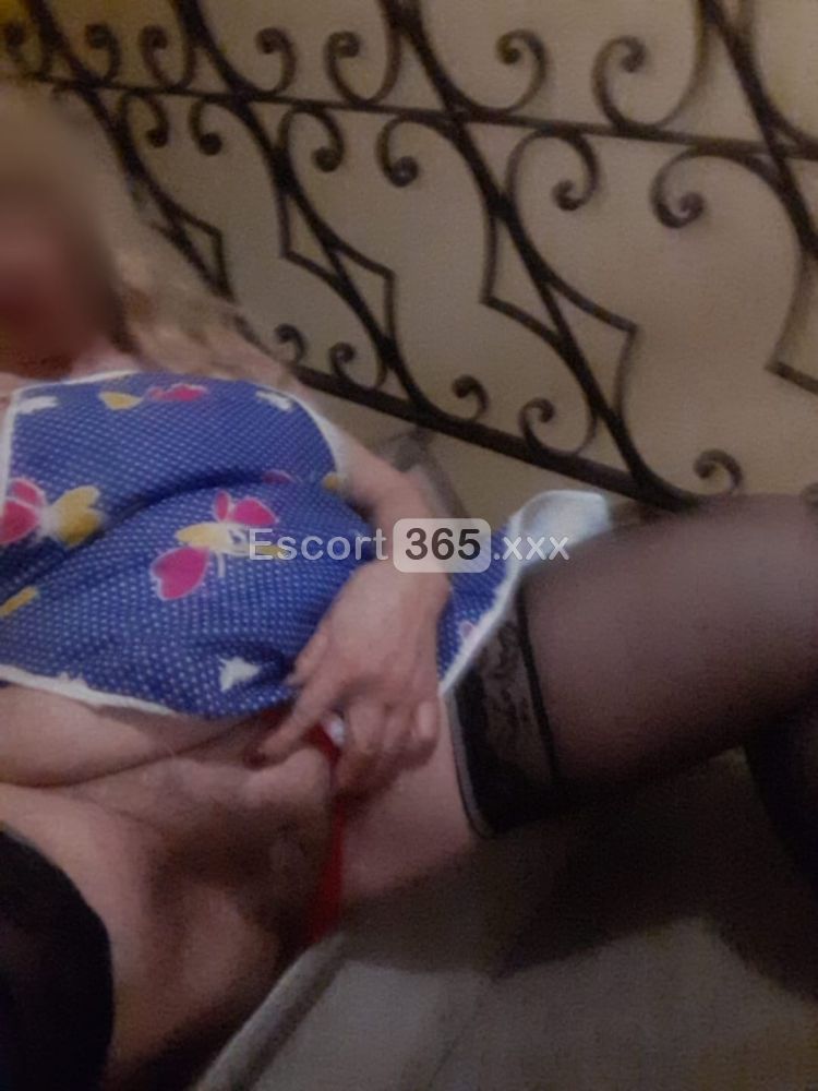 Viviana: Italiana Espertissima - Escort a Bereguardo - Foto 4