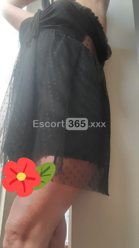 Silvia: Italiana Favolosa - Escort a Milano - Foto 2