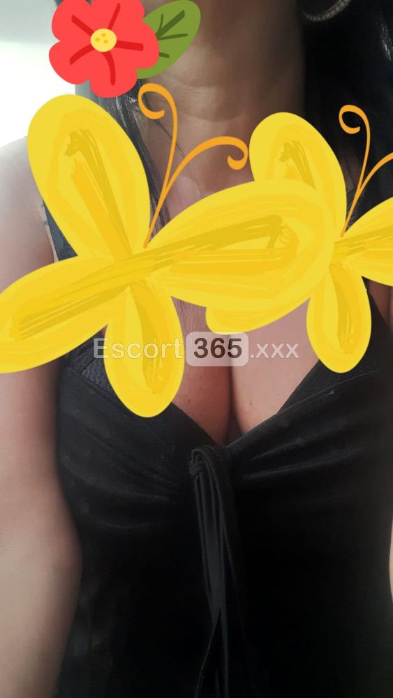 Silvia: Italiana Favolosa - Escort a Milano - Foto 5