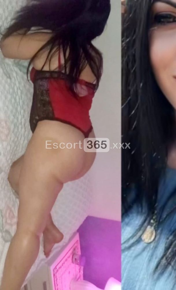Sofia: Massaggi e Piacere (Raggiungo Solamente) - Escort a Rimini - Foto 8