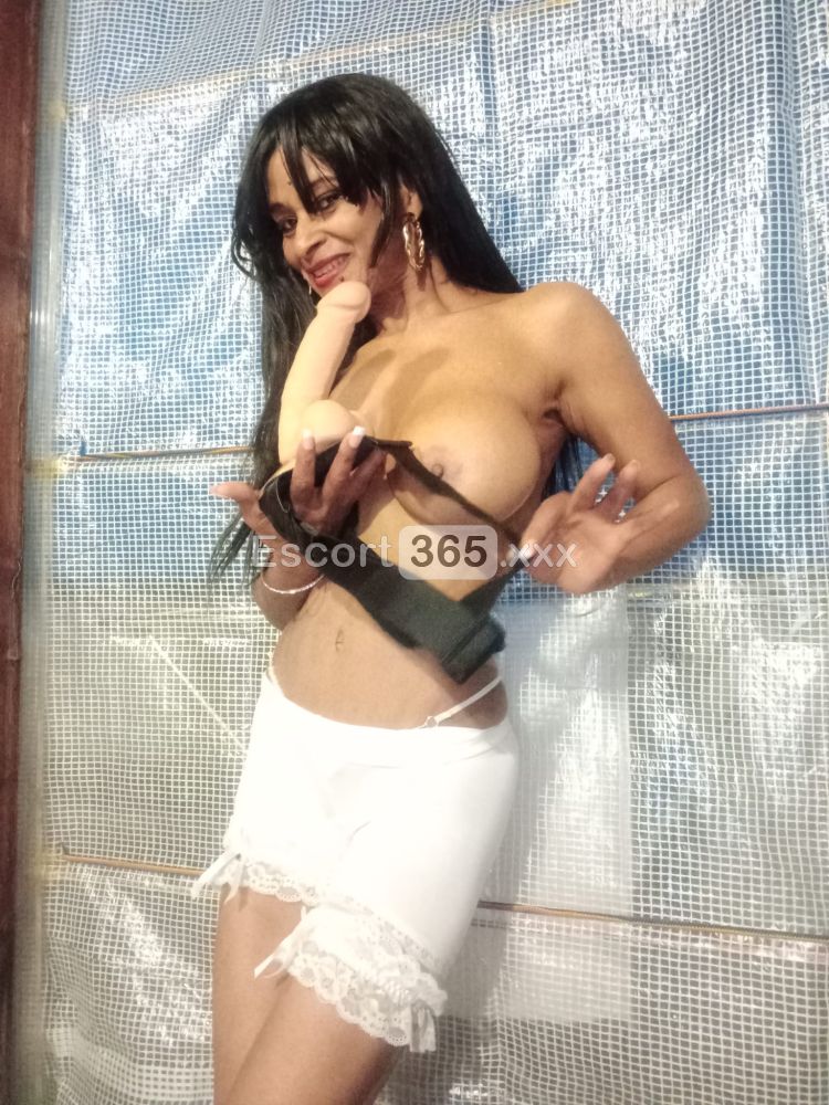 Candy: Snella e Affascinante - Escort a Modena - Foto 10