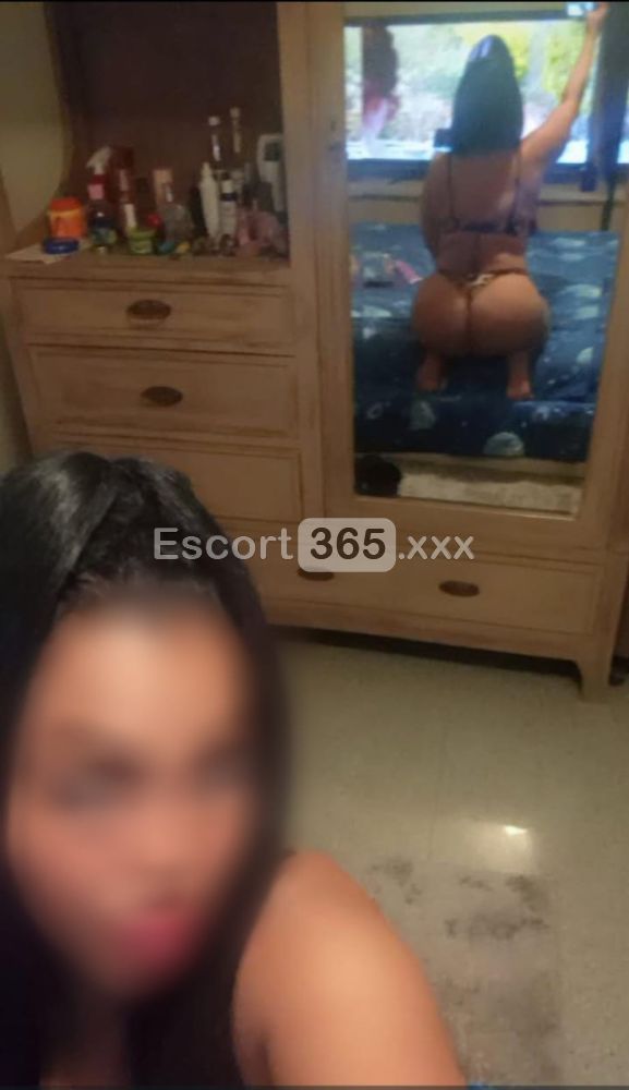Laura Bellissima Colombiana - Escort a Camagna Monferrato - Foto 7