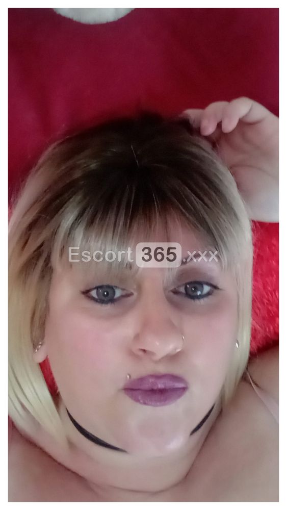 Ruby Italiana Novità - Escort a Cairo Montenotte - Foto 5