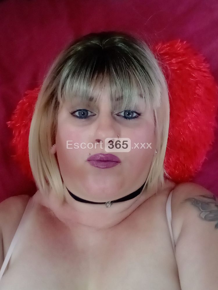 Ruby Italiana Novità - Escort a Cairo Montenotte - Foto 3