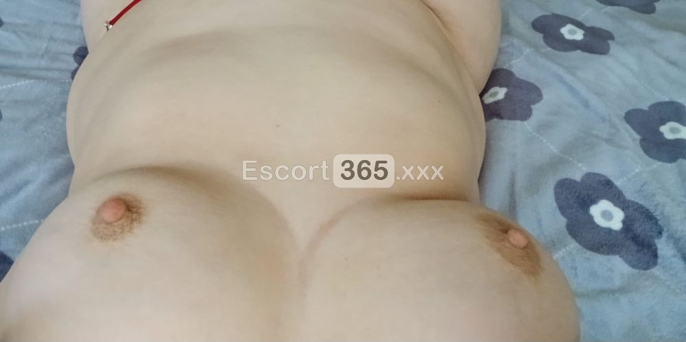 Sara: Misteriosa e Coinvolgente - Escort a Torino - Foto 33